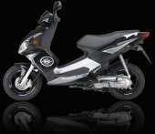 2009 Kreidler RMC-G 125 El Ninjo photo